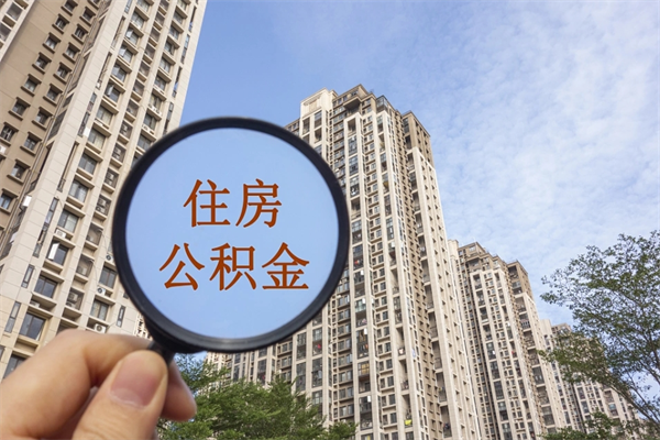 鞍山离职可以取出公积金吗（离职可以取公积金嘛）